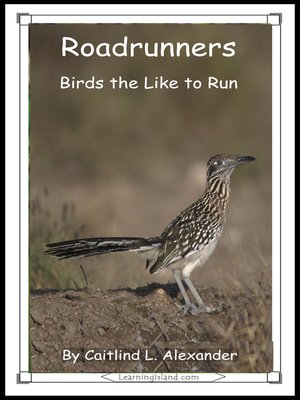cover image of Roadrunners